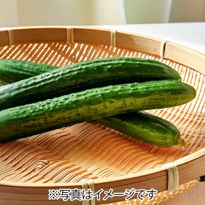 新鲜黄瓜